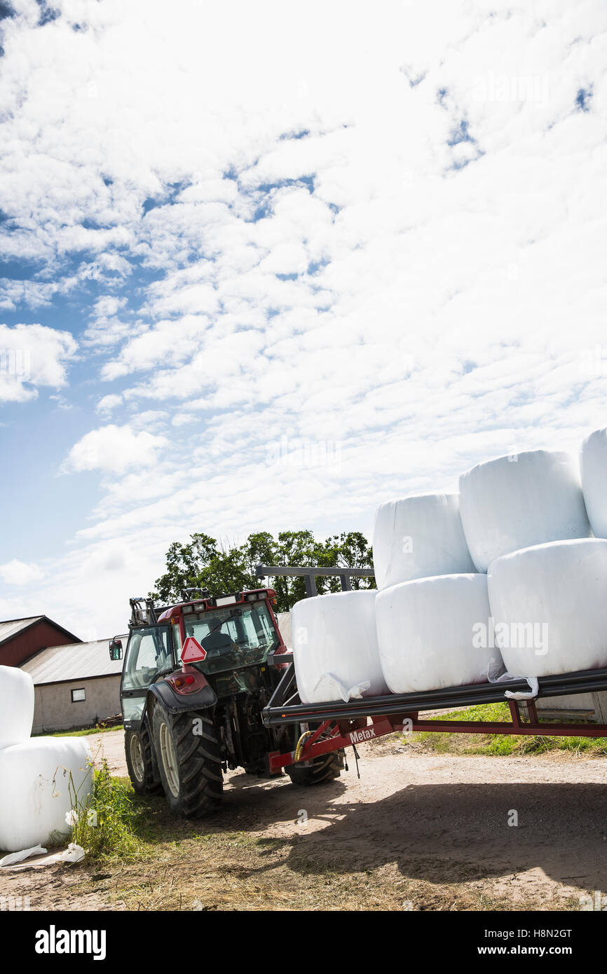 Tractor carrying hay bales Stock Photo Alamy