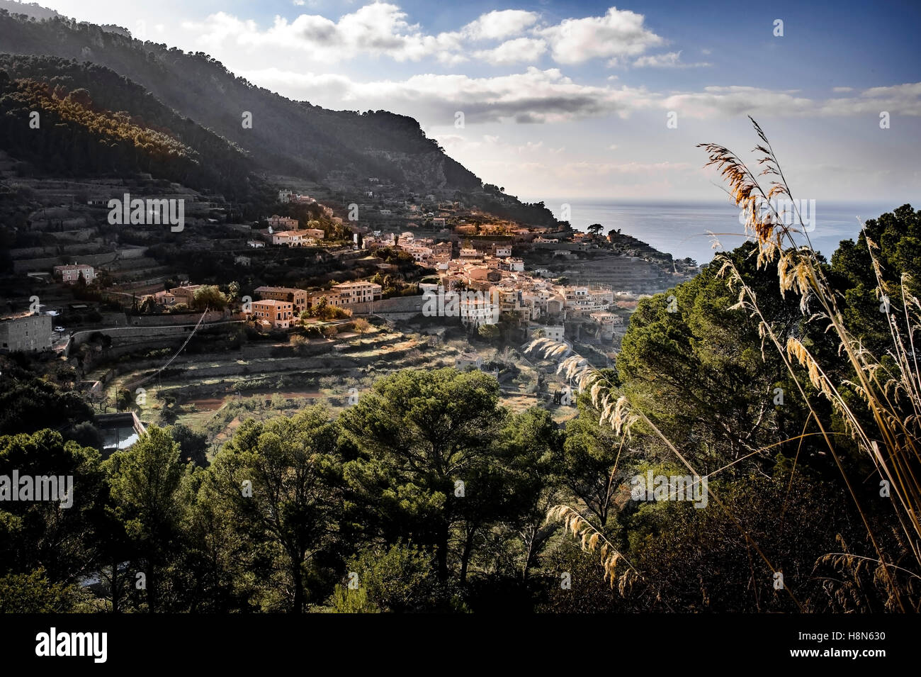 Townscape with sea in background, Spain, Majorca, Banyalbufar Stock Photo