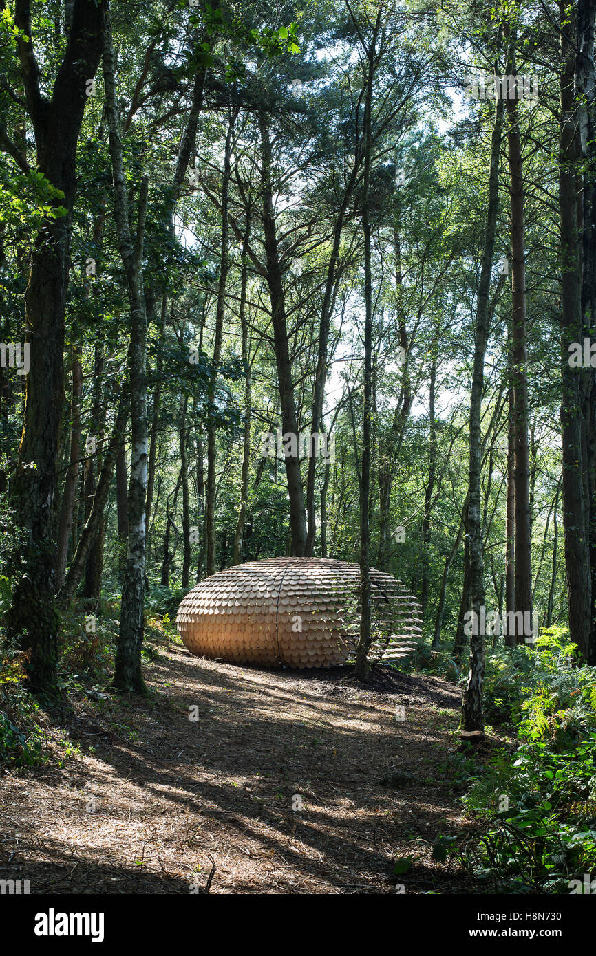 View of side of pavilion through woodland. Perspectives. Pavilion, Surrey Hills, United Kingdom. Architect: Giles Miller Studio Stock Photo