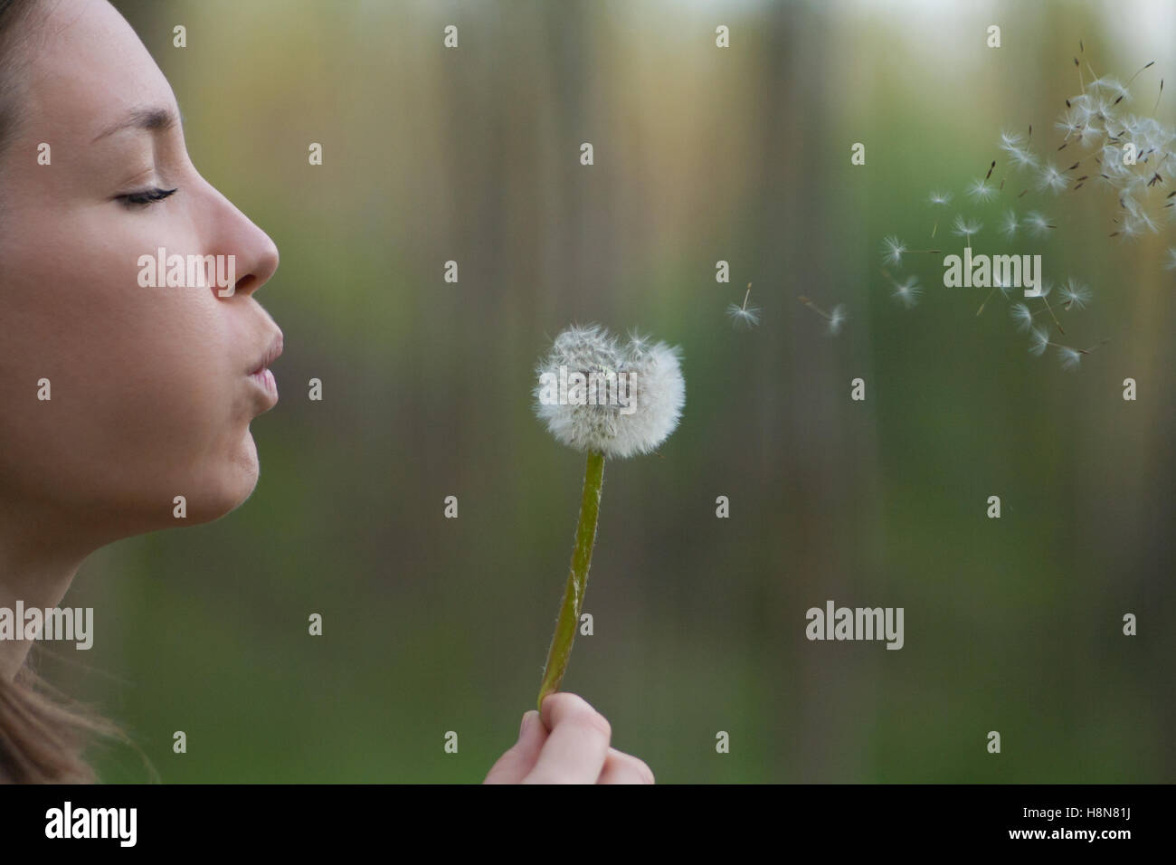 Young woman blowing dandelion flower in springtime Stock Photo Alamy