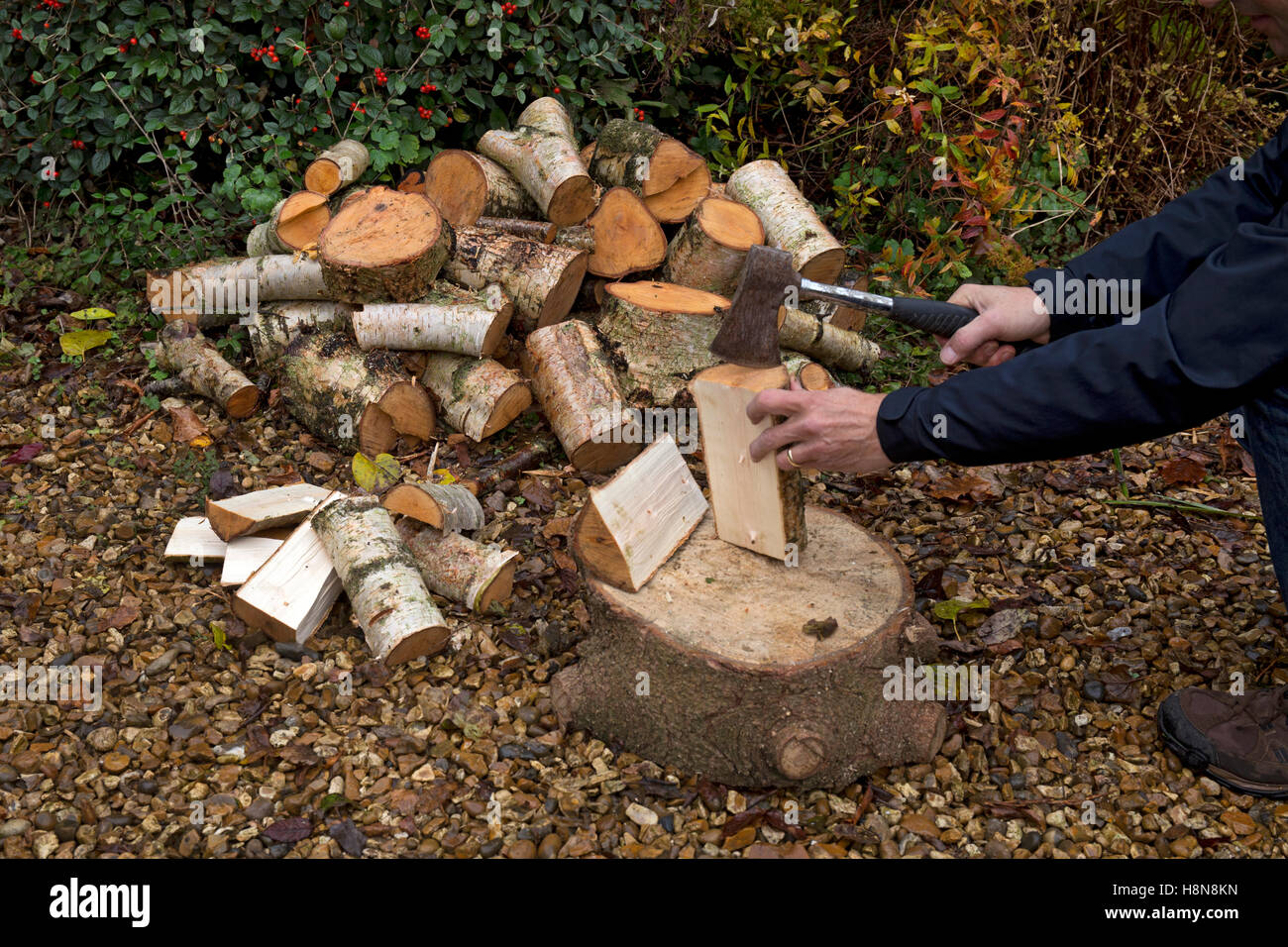 Pile of logs being cut with axe for firewood Stock Photo