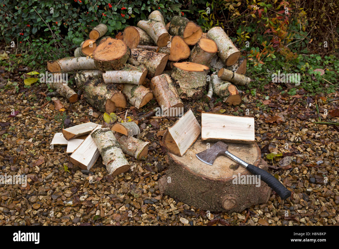 Pile of logs being cut with axe for firewood Stock Photo