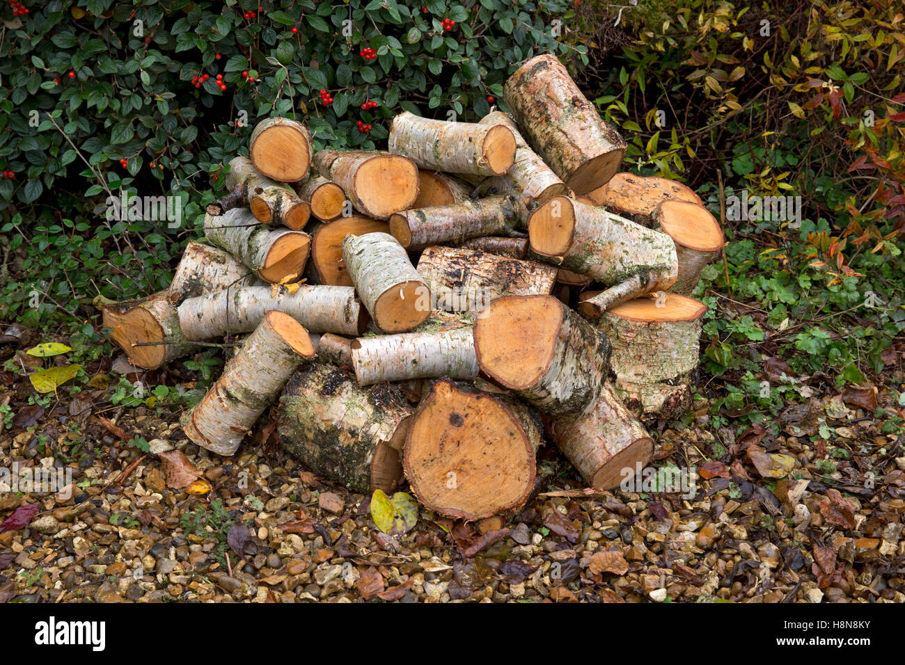 pile of logs ready to be cut for firewood Stock Photo