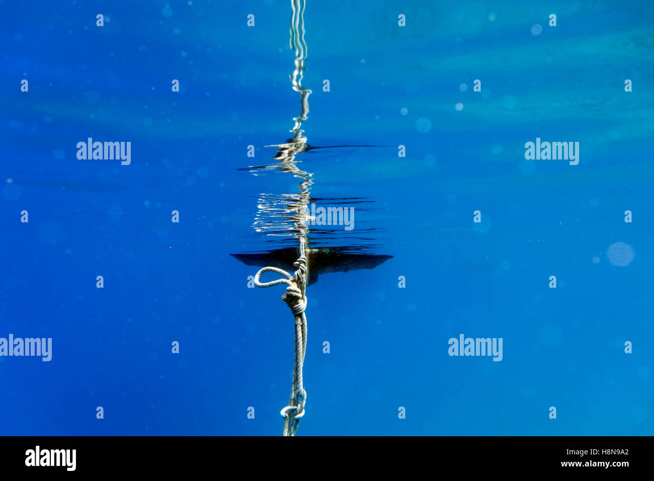 Underwater photo of fishing boat mooring rope Stock Photo - Alamy