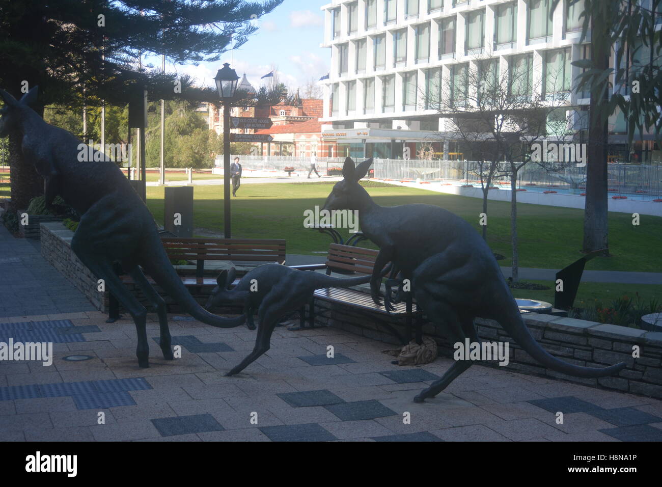 Trio of bronze life size mob of kangaroo's in Perth city centre, Australia Stock Photo
