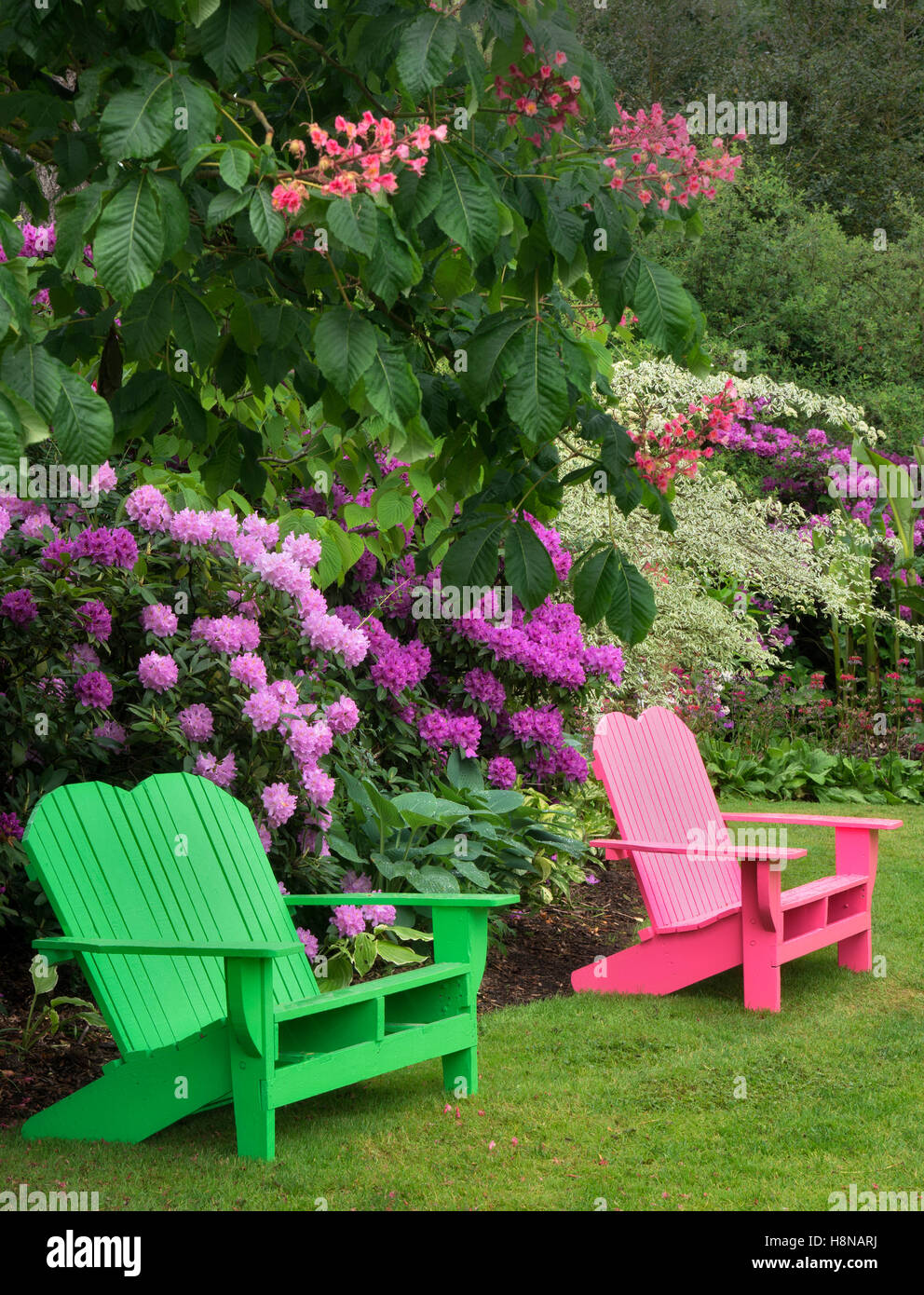 Iris and other flowering plants with chair at Schriners Iris Garden. Oregon Stock Photo