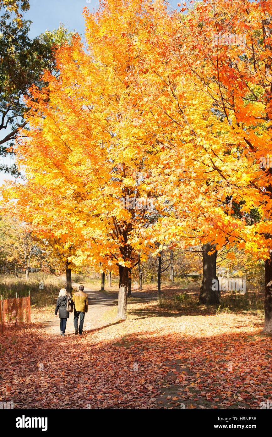 couple walking through autumn forest Stock Photo - Alamy