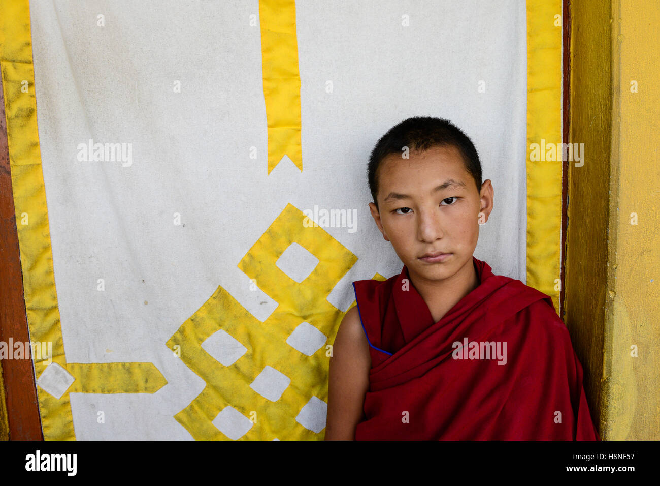 NEPAL Pokhara, tibetan refugee camp Tashi Ling, Shri Gaden Dhargyaling Monastery, young novice Lobsang Ngawang is 11 years old and belongs to a tibetan nomad family in Upper Mustang, background curtain with endless knot a symbol for luck in tibetan culture Stock Photo