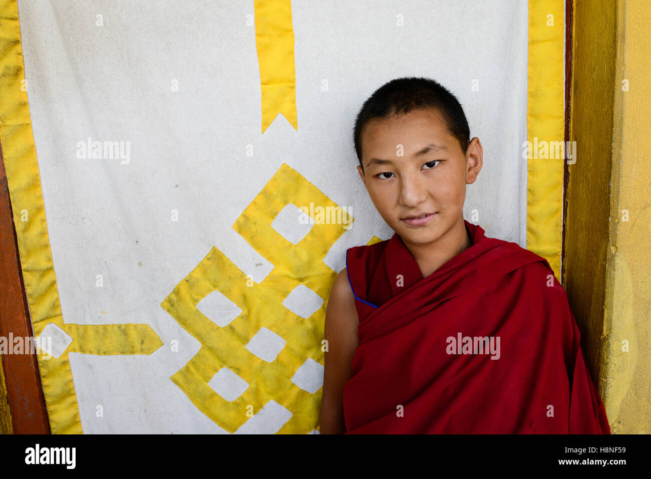 NEPAL Pokhara, tibetan refugee camp Tashi Ling, Shri Gaden Dhargyaling Monastery, young novice Lobsang Ngawang is 11 years old and belongs to a tibetan nomad family in Upper Mustang, background curtain with endless knot a symbol for luck in tibetan culture Stock Photo