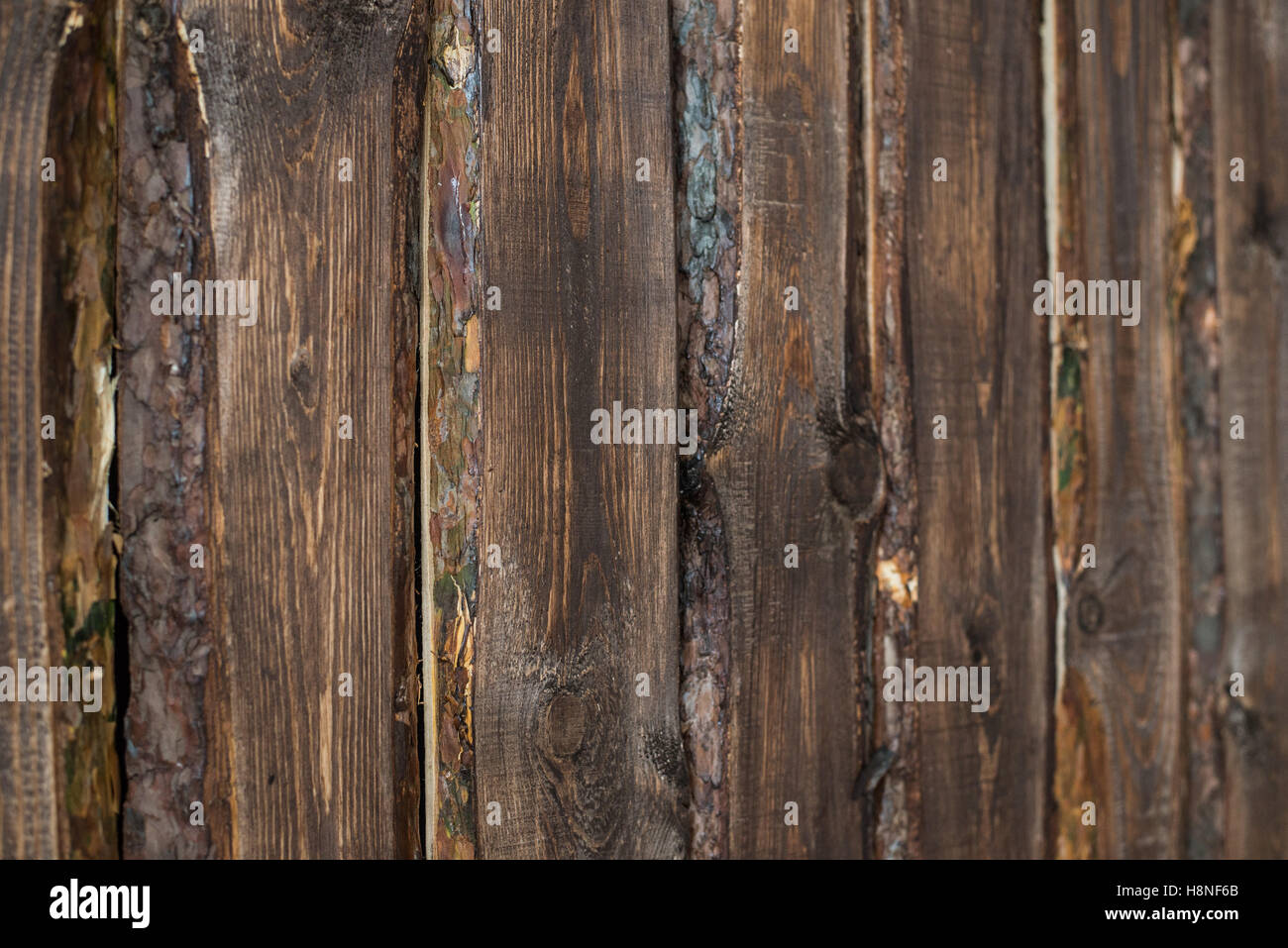 wooden brown pine boards background texture Stock Photo