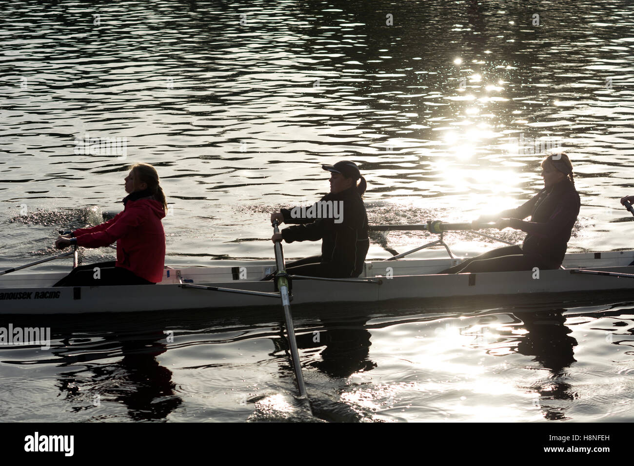 Women rowers training on the River Avon, Stratford-upon-Avon, UK Stock Photo