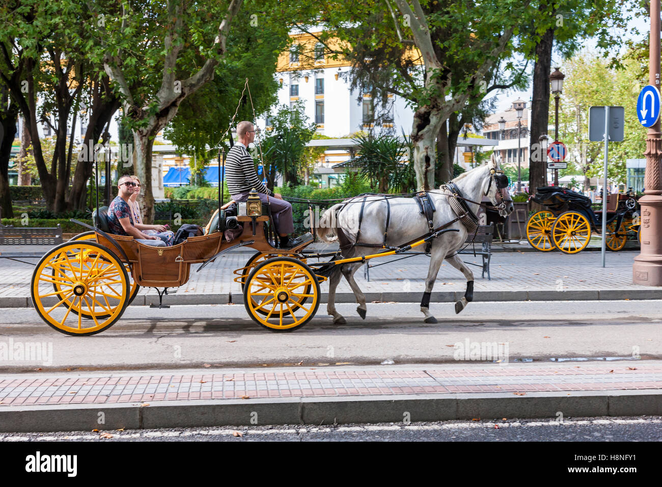 Tourists viewing the city from a horse drawn carriage, Seville, Spain. Stock Photo