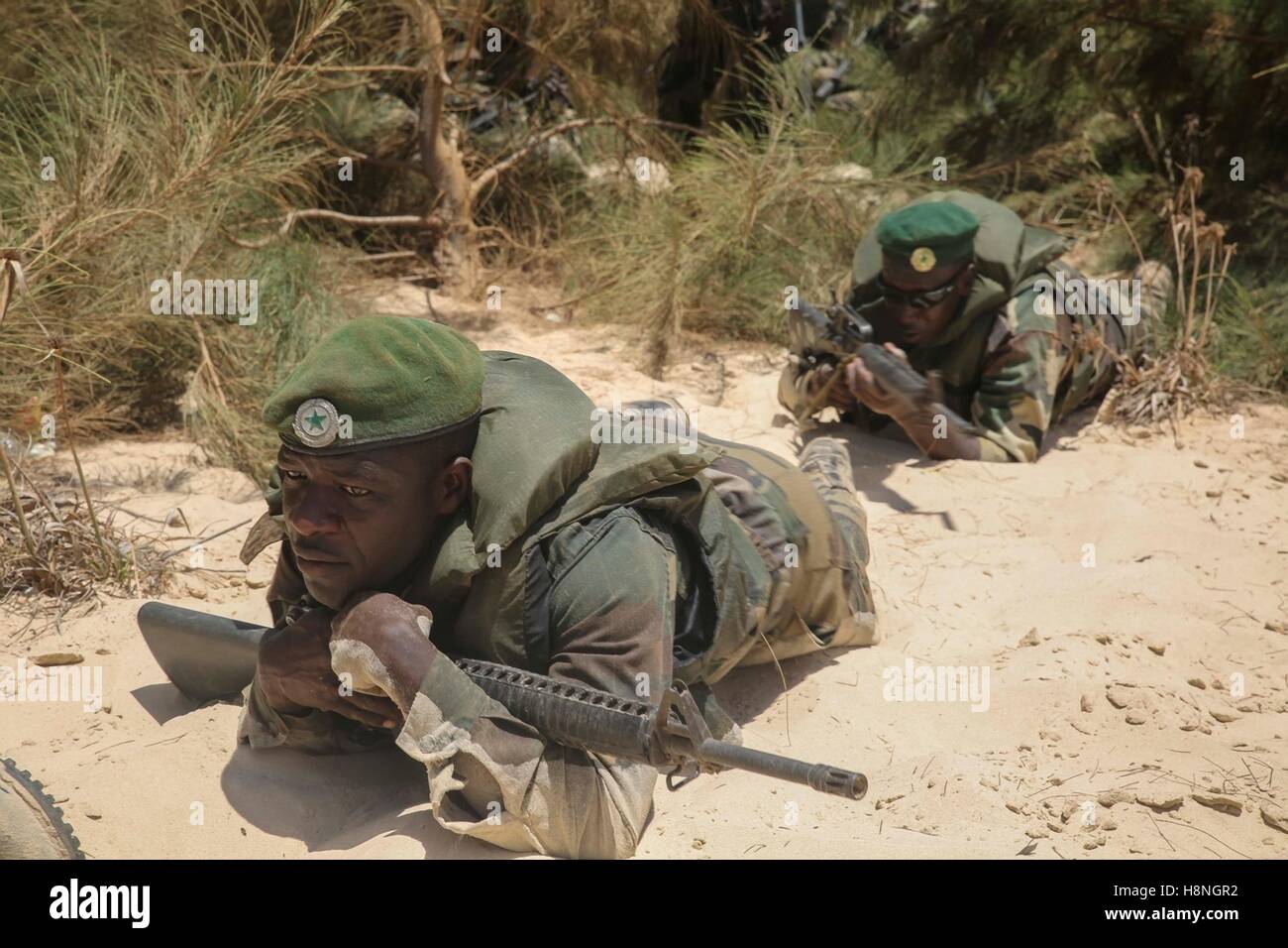 Senegalese Commando soldiers crawl toward an enemy position during an training exercise July 8, 2015 in St. Louis, Senegal. Stock Photo