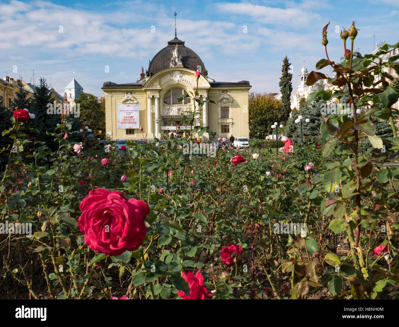 Single red rose with Chernivtsi Drama Theatre Ukraine Front of Chernivtsi Drama Theatre  in the background. Chernivtsi Oblast Uk Stock Photo