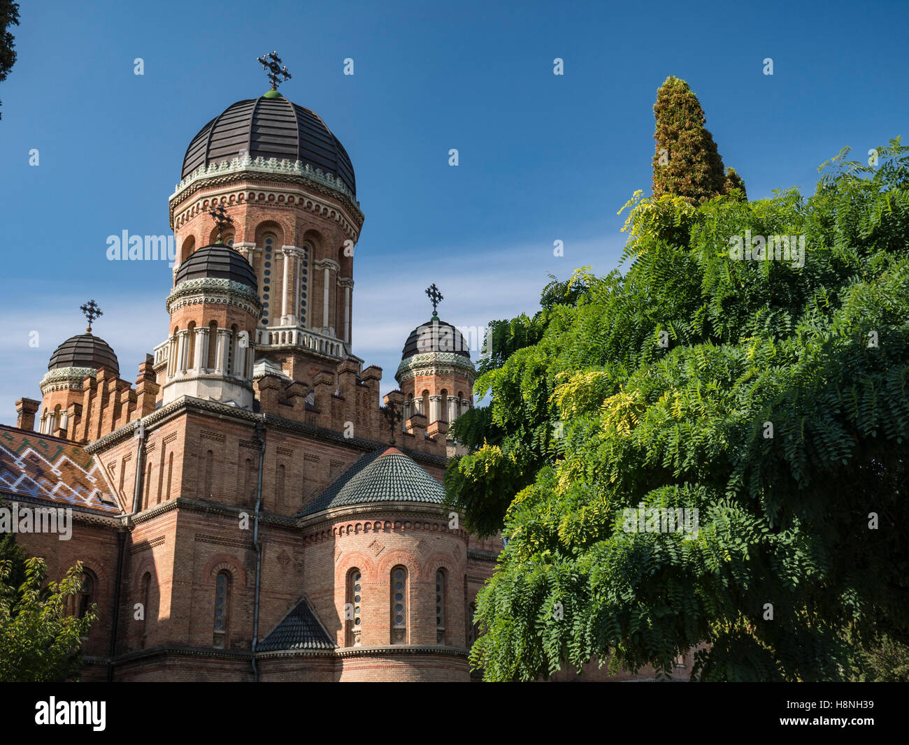 Domed tower of Chernivtsi National University in Chernivtsi Ukraine with autumnal trees Stock Photo
