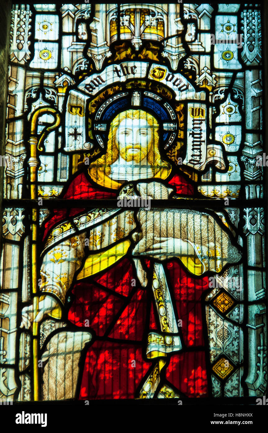Stained glass depicting Jesus with Lamb Cannon Pyon Church Herefordshire UK Stock Photo