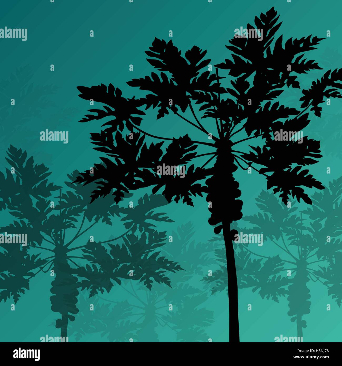 Palm Trees Detailed Graphic Silhouettes Abstract Nature Background Palm Trees Detailed Graphic Silhouettes Abstract Nature Background