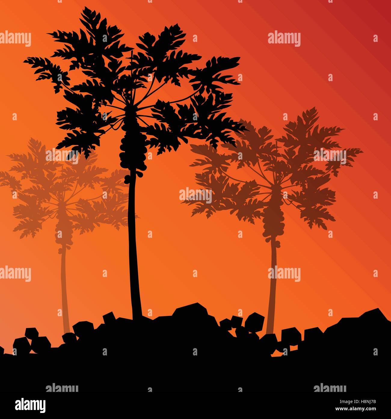Detailed view trees in Stock Vector Images - Alamy