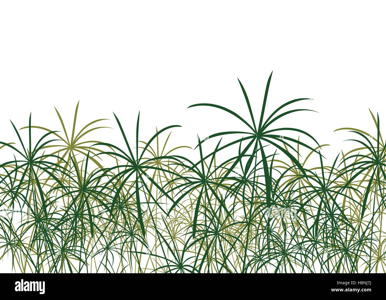 Paper reed detailed silhouettes in nature background vector Stock Vector