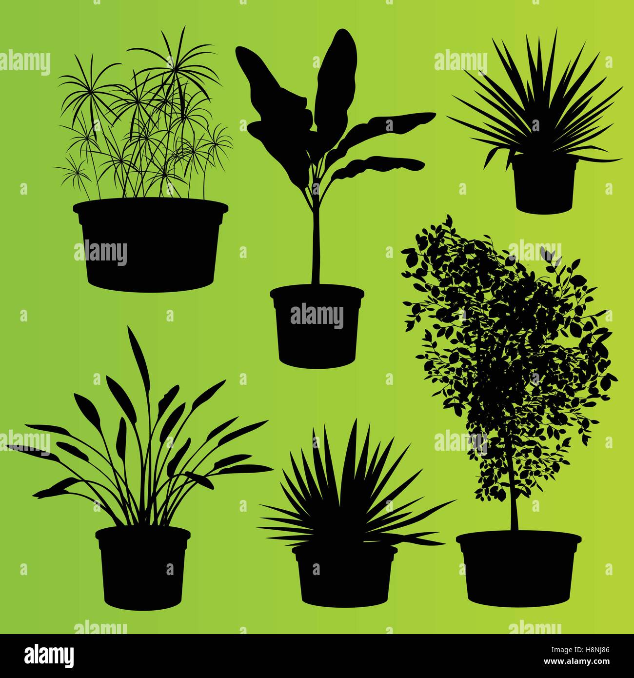 House plants in flower pots set isolated vector background Stock Vector ...