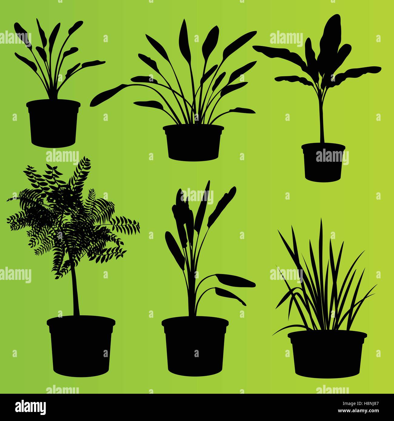 House plants in flower pots set isolated vector background Stock Vector ...