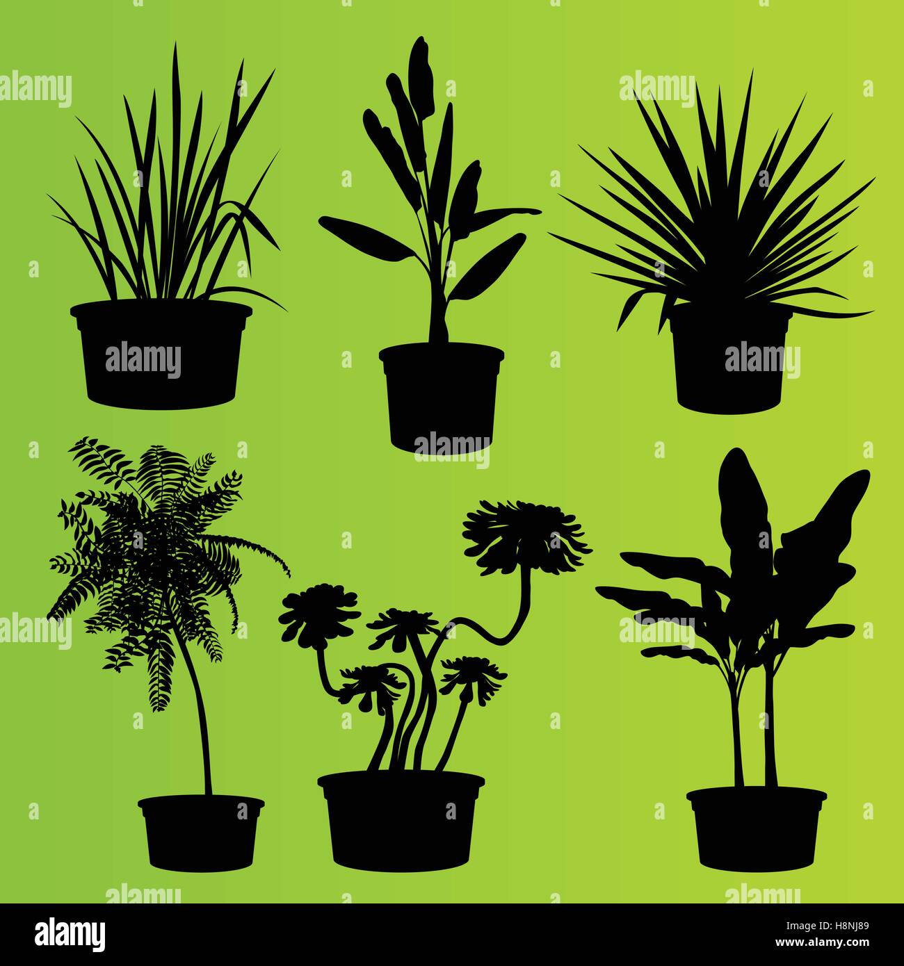 House plants in flower pots set isolated vector background Stock Vector ...