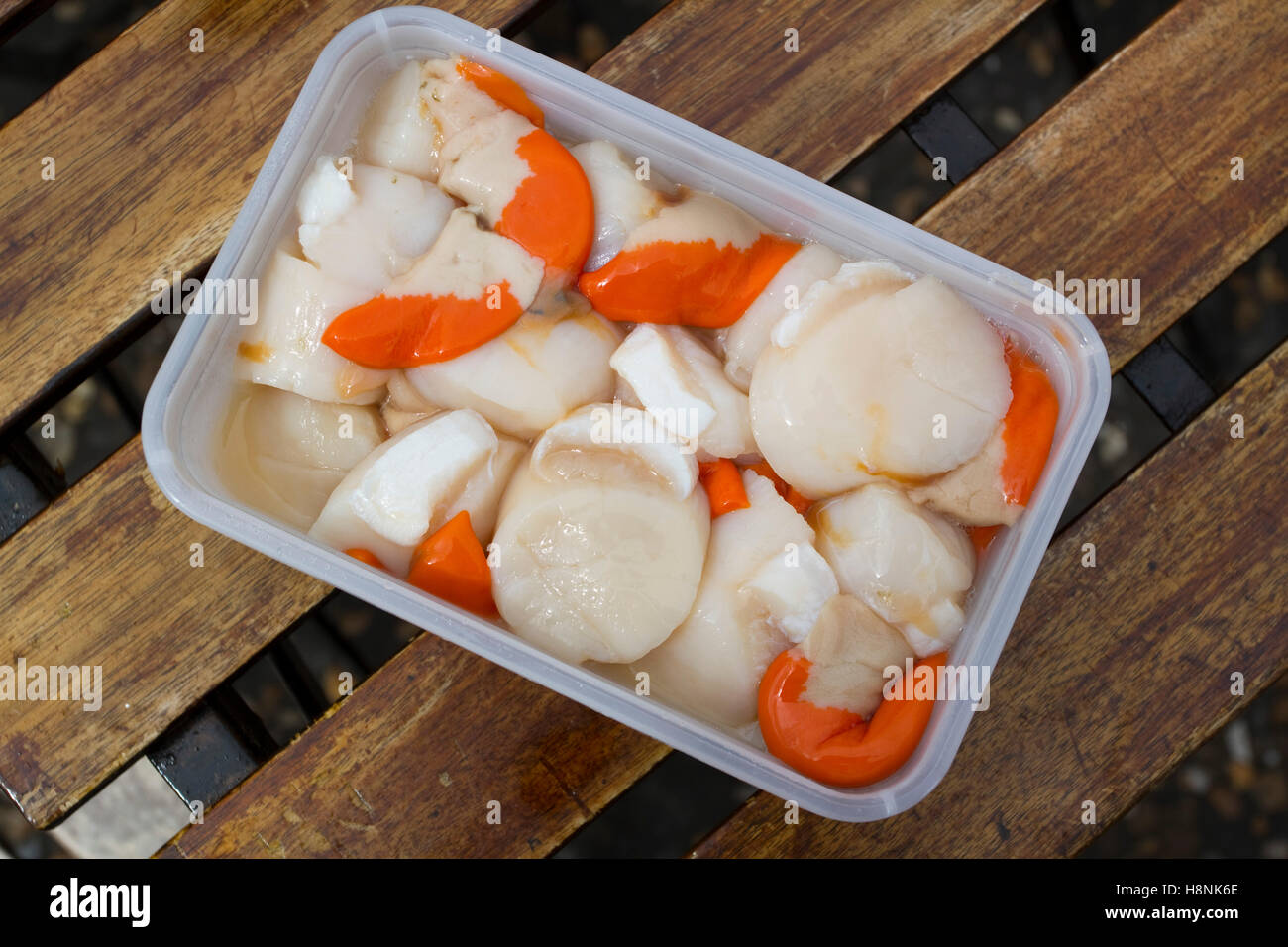 King Scallop Hi Res Stock Photography And Images Alamy