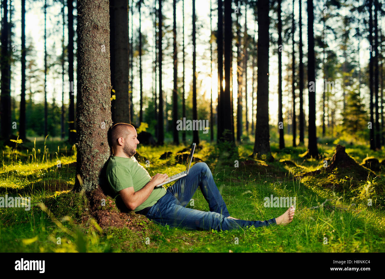 Man sitting by tree in spruce forest, using laptop Stock Photo - Alamy