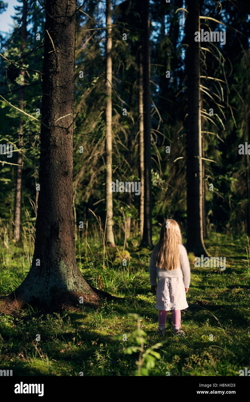 3 year old girl rear view hi-res stock photography and images - Alamy