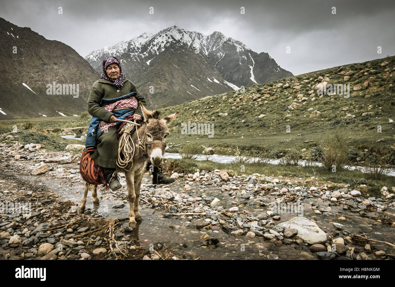 Kyrgyz lady on a donkey. Stock Photo
