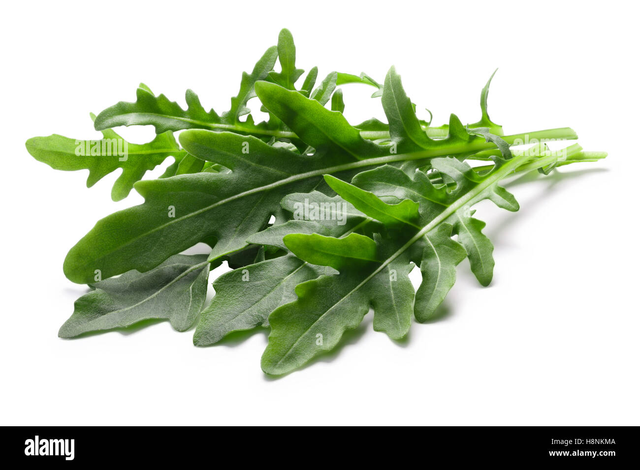 Fresh arugula (Eruca vesicaria) leafy salad. Clipping paths, shadow separated Stock Photo