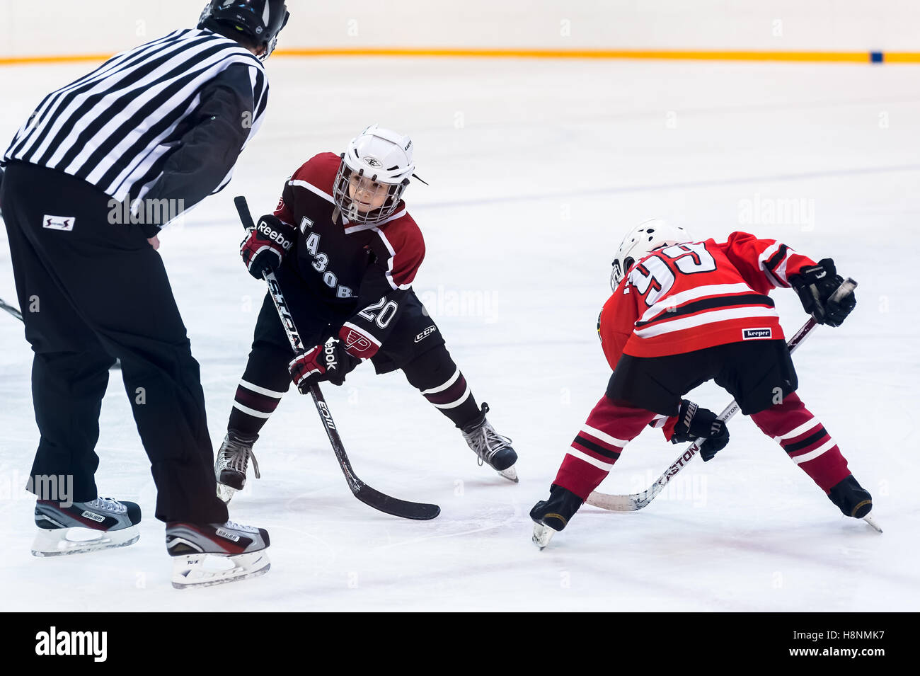Puck playing between players of icehockey teams Stock Photo Alamy