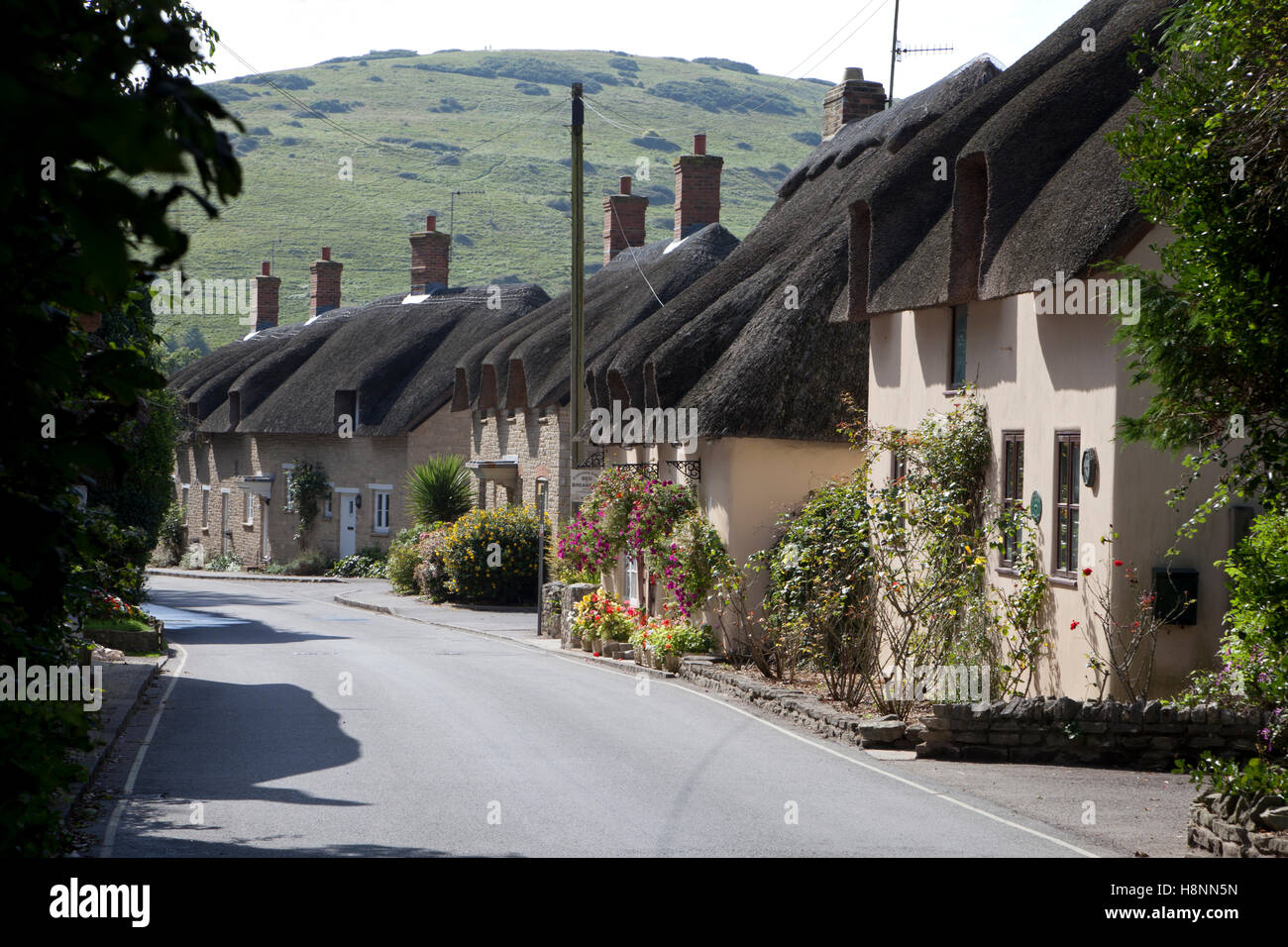 A Row Of Thatched Cottages In The Village Of West Lulworth Dorset