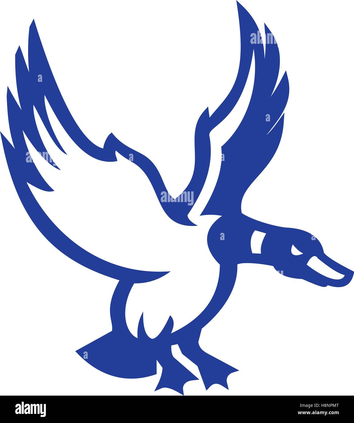Illustration of a mallard duck with its wings flapping landing or about to land viewed from the side set on isolated white backg Stock Vector