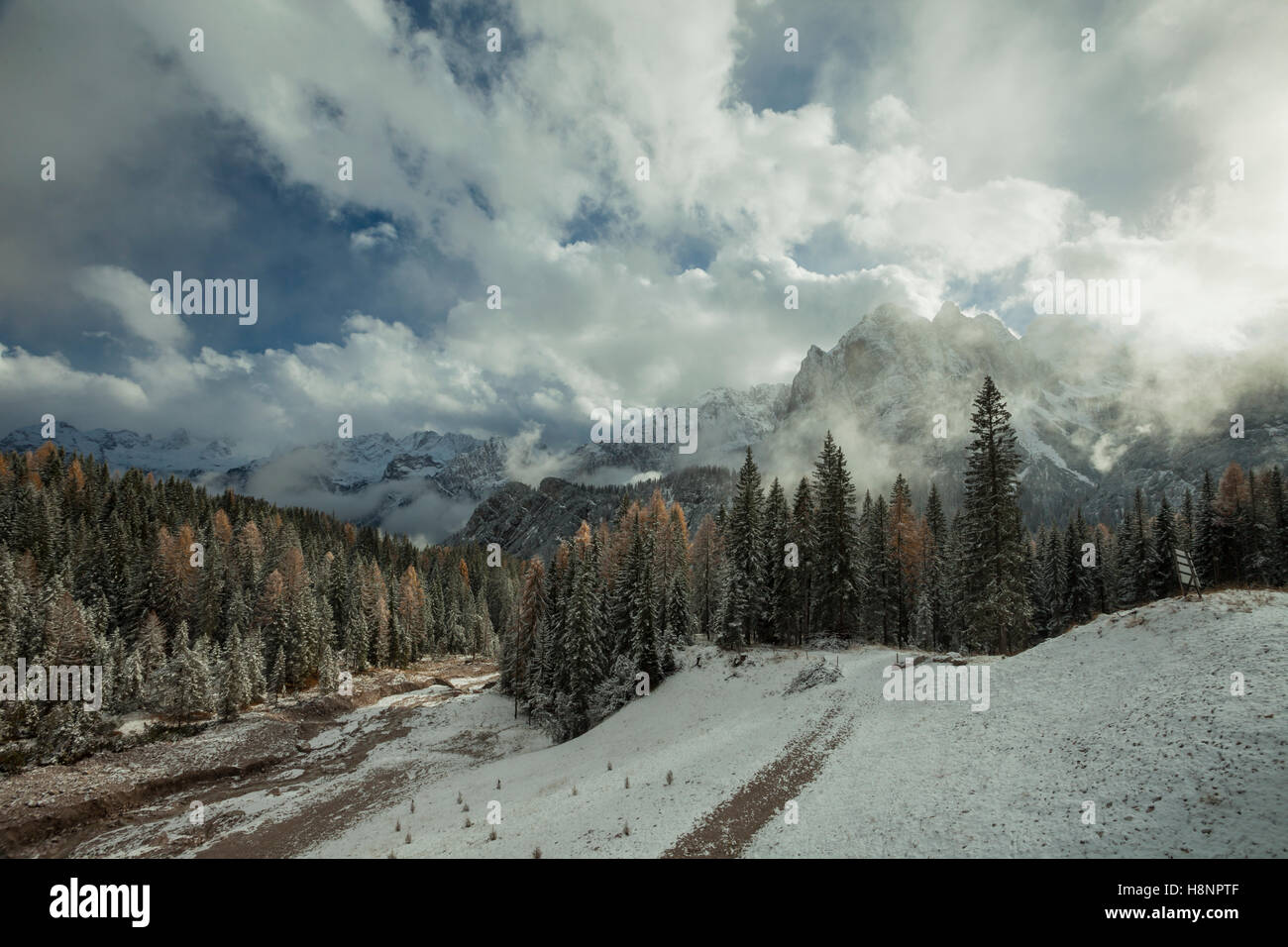 Early snow in the Dolomites near Cortina d'Ampezzo, Italy. Stock Photo