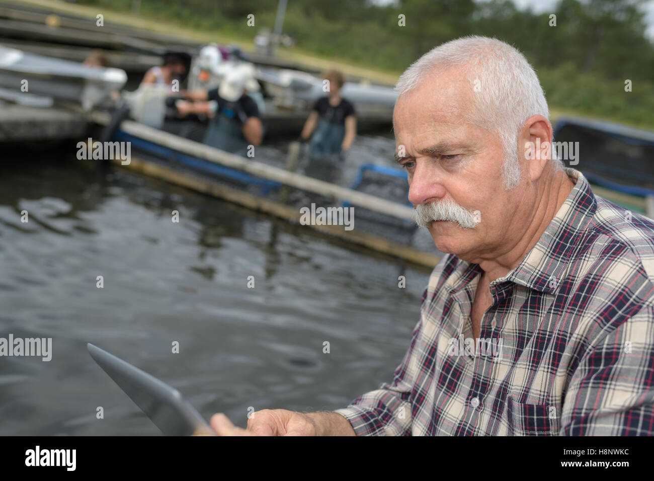 fish farm owner managing his team Stock Photo - Alamy