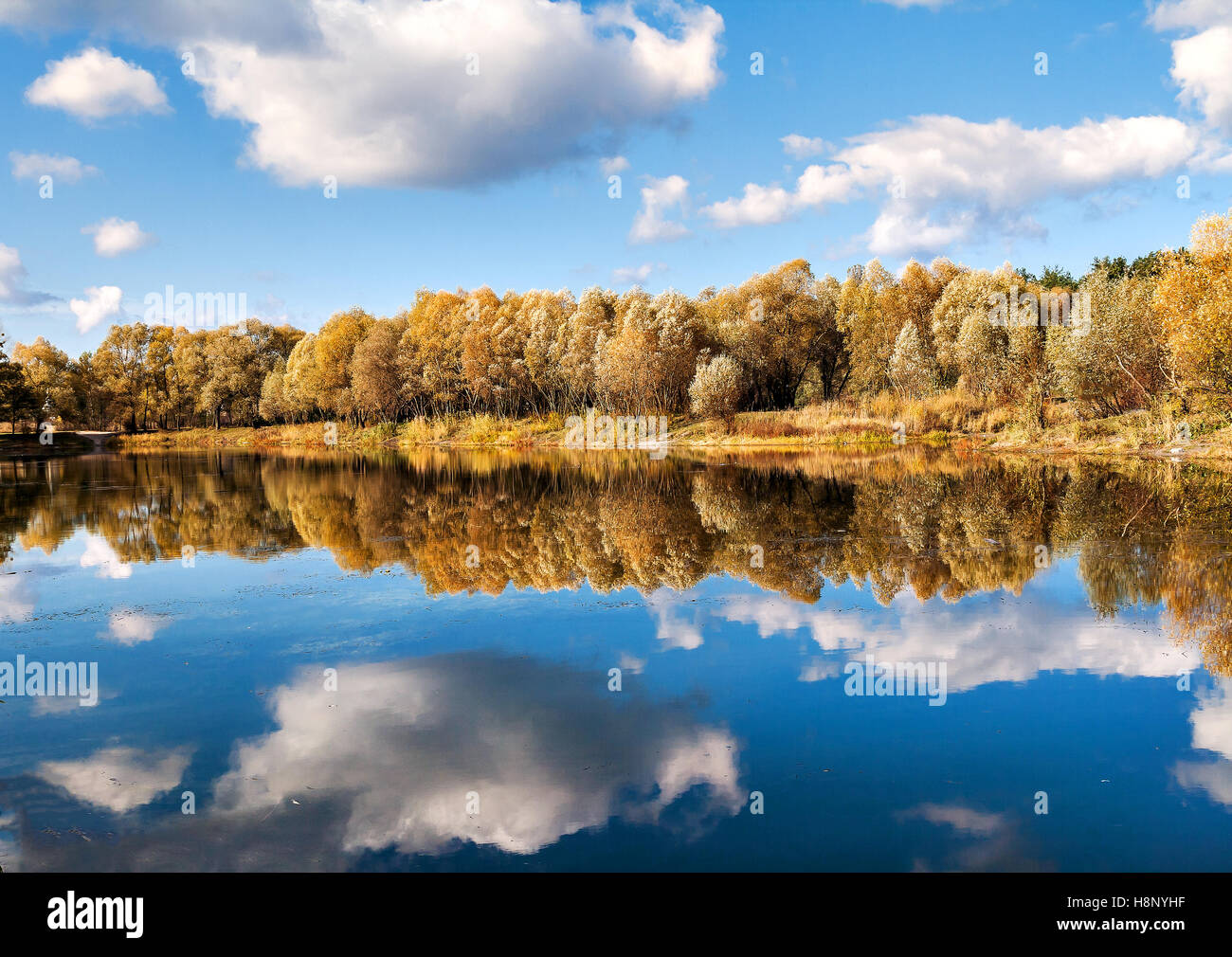 reflected in a forest lake autumn trees Stock Photo - Alamy