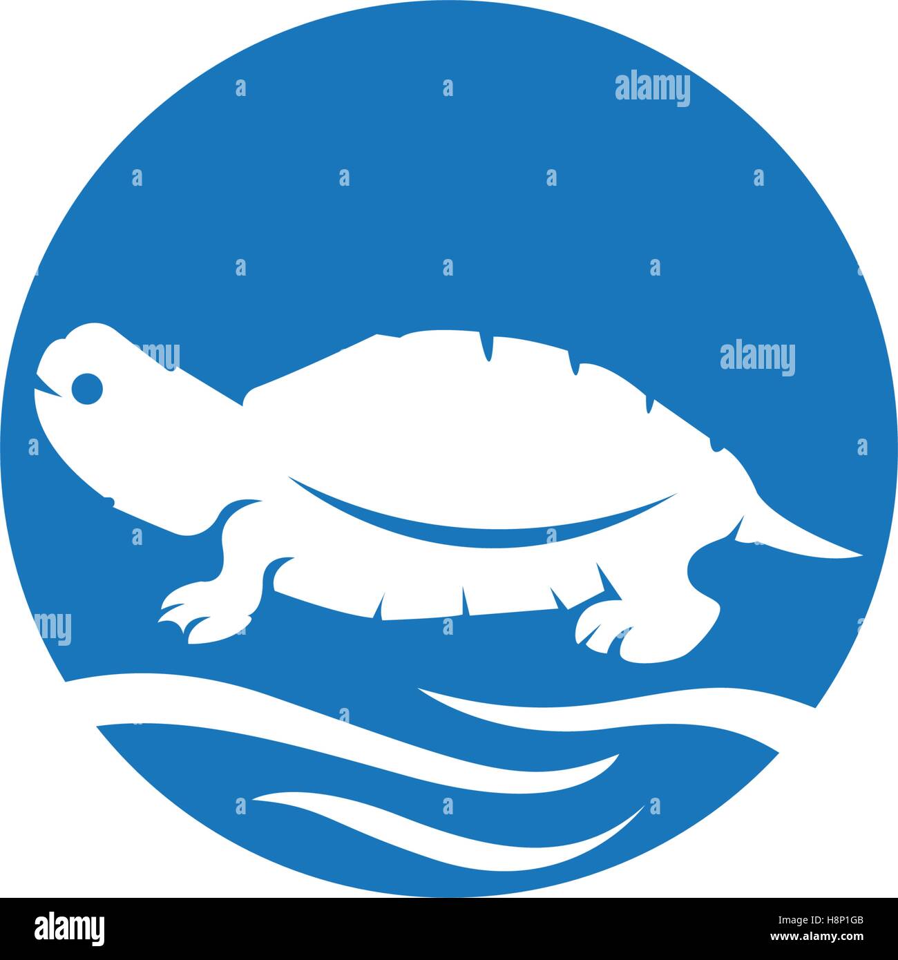 turtle animal cartoon icon image vector illustration design Stock Vector