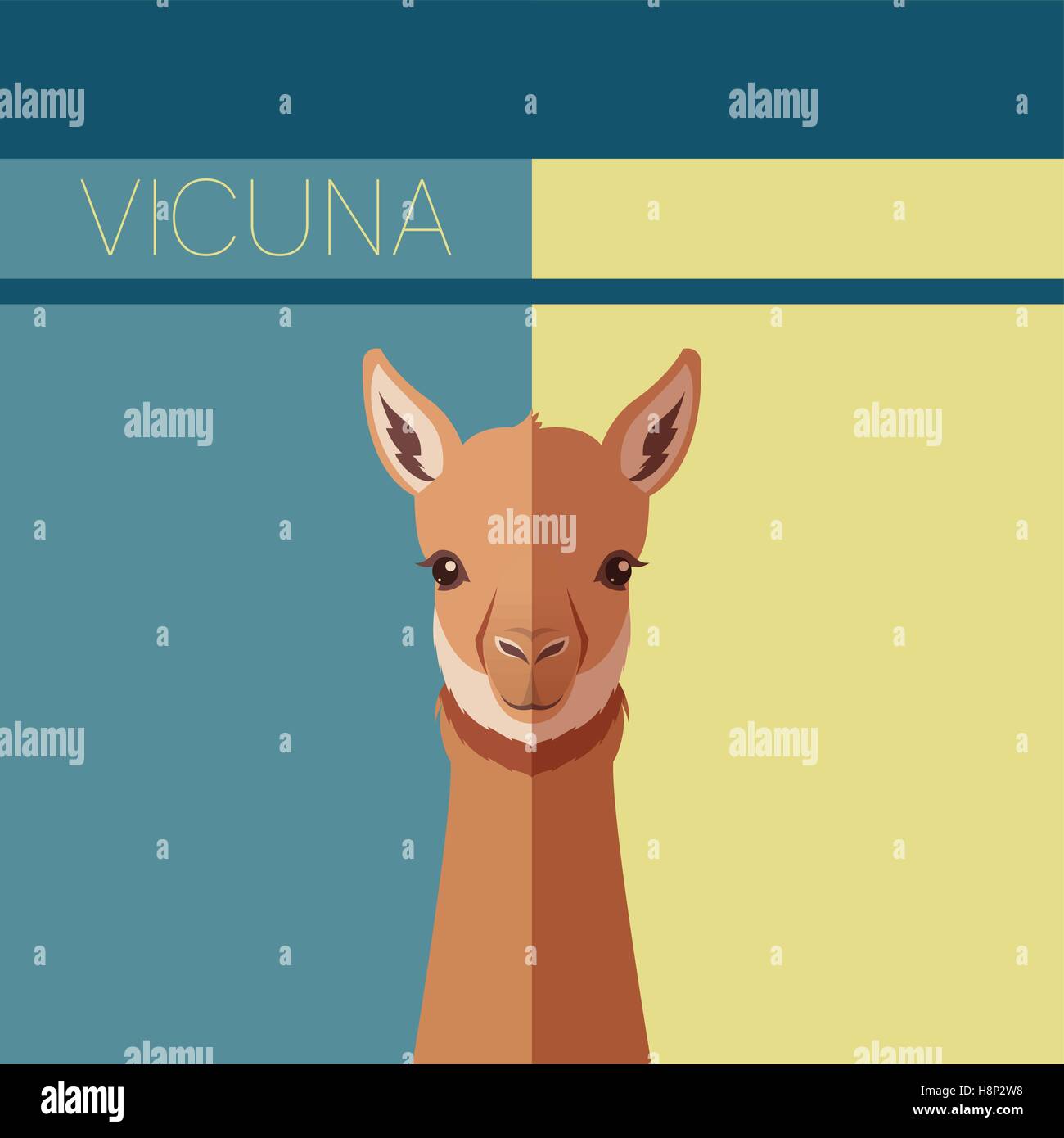 Vector image of the Flat postcard with Vicuna Stock Vector