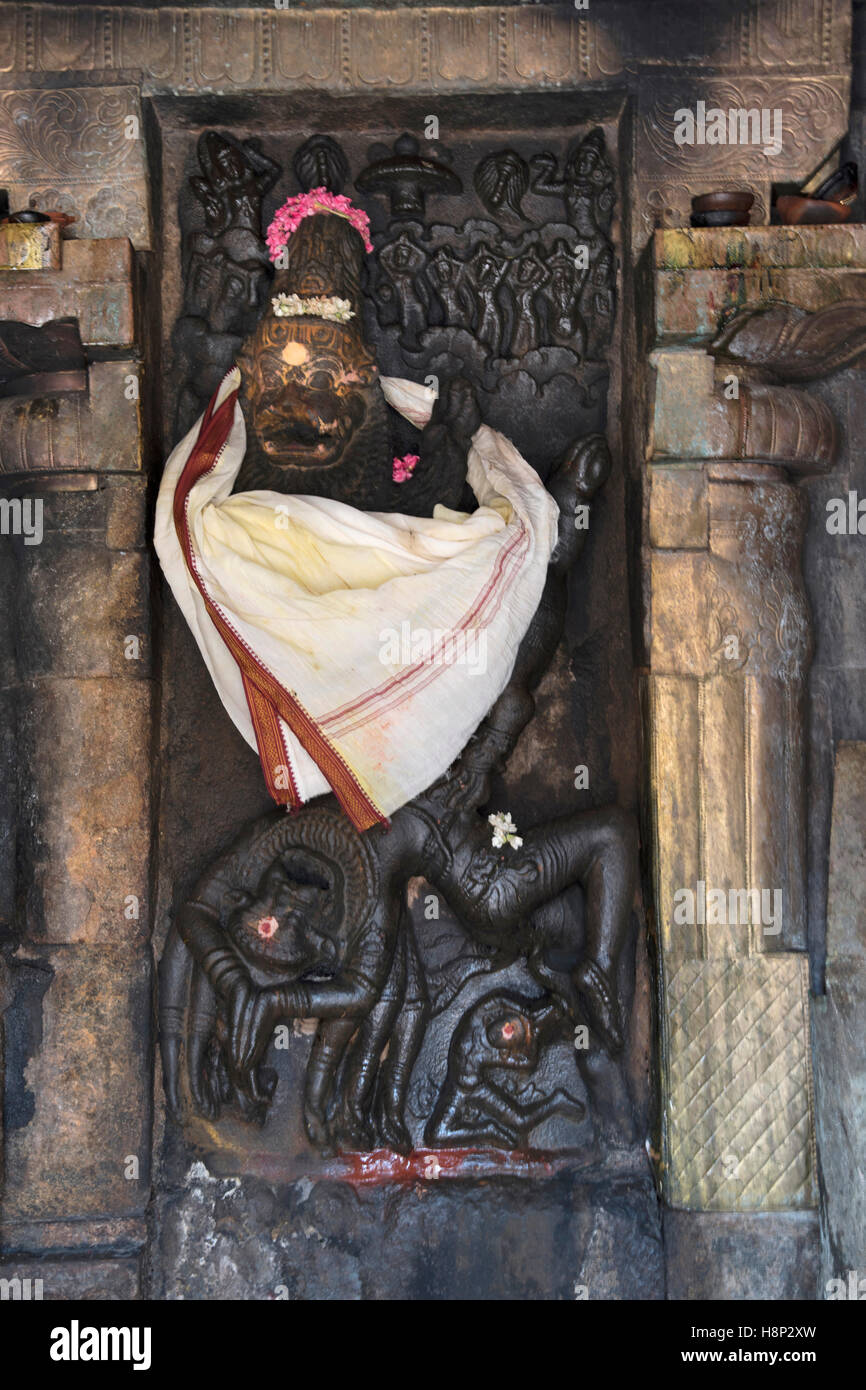 Siva as Sarabha-murti, Shrine attached to the southern wall of mandapa, Airavatesvara Temple complex, Darasuram, Tamil Nadu, Ind Stock Photo