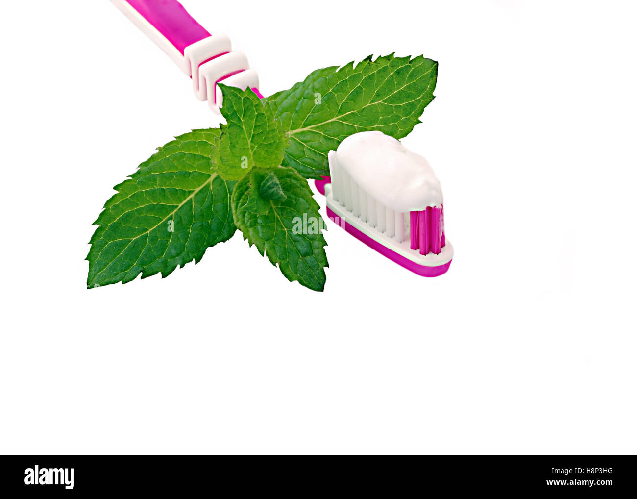 Toothbrush with Mint Leaves and Toothpaste. Stock Photo