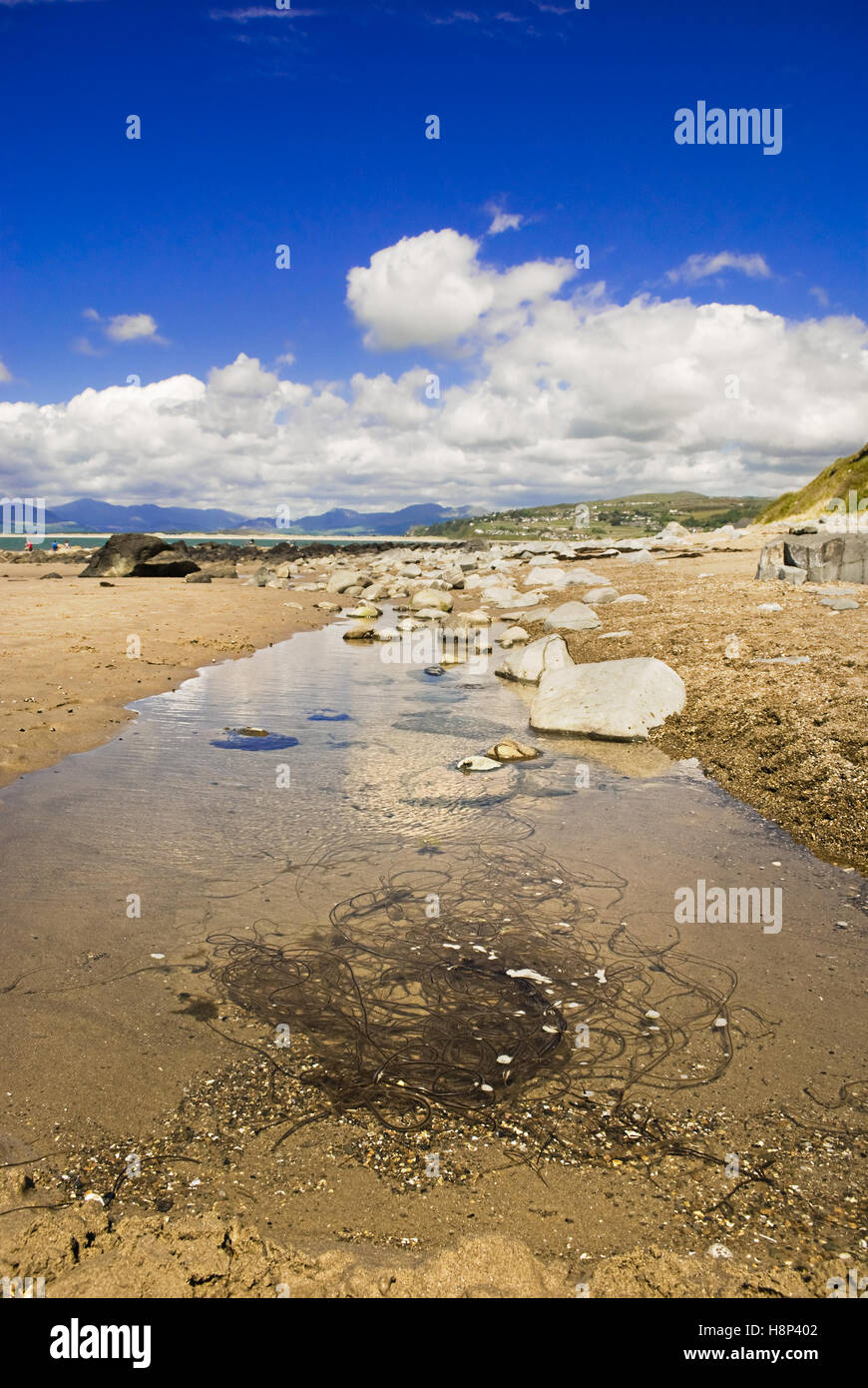 Beach at Shell Island, Wales,UK Stock Photo