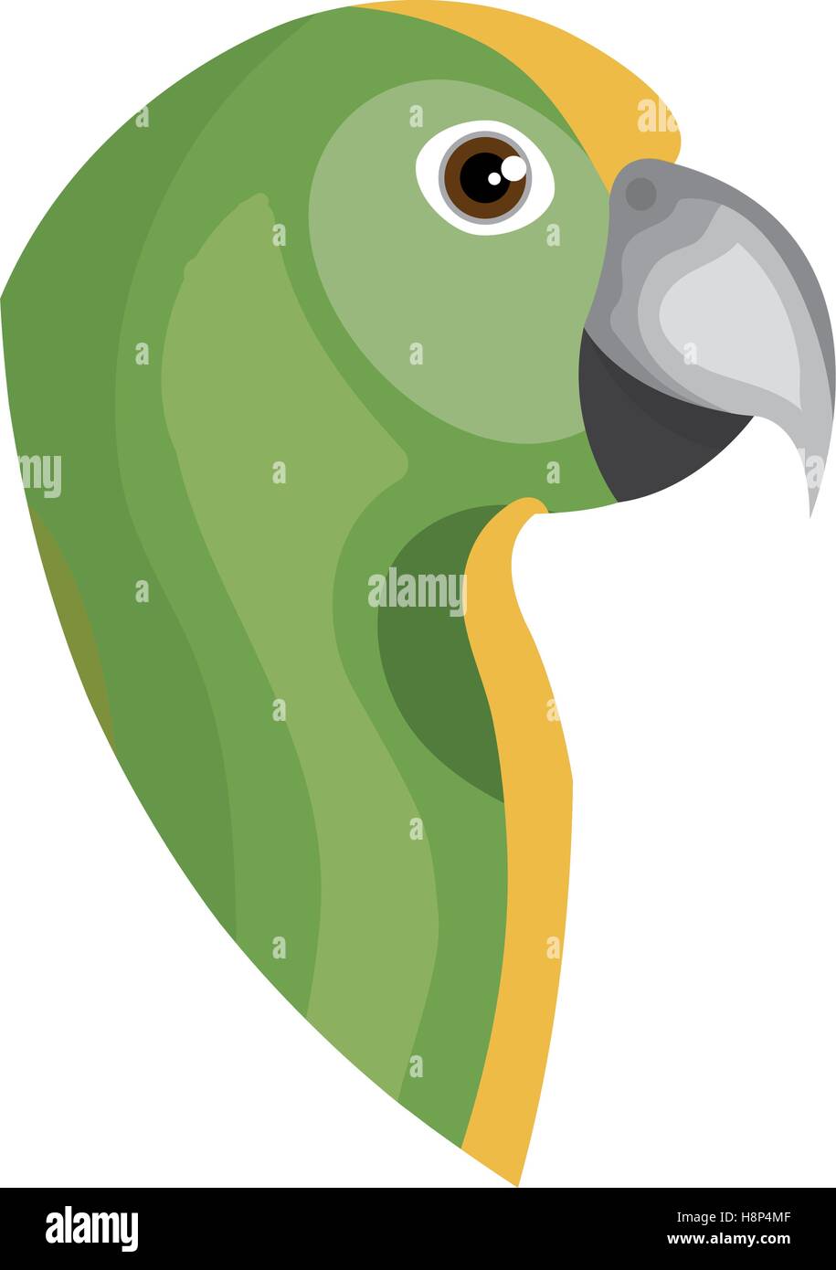 parrot bird isolated icon vector illustration design Stock Vector Image ...