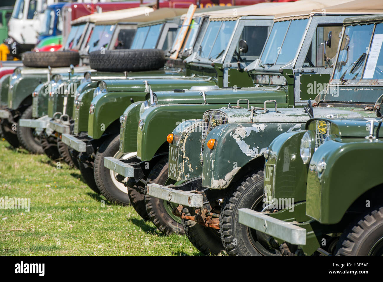 England, Yorkshire - Land Rovers being shown at the Masham Steam Rally ...