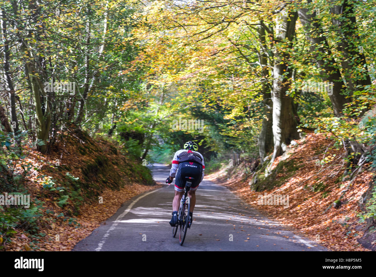 Cycling box hill hires stock photography and images Alamy