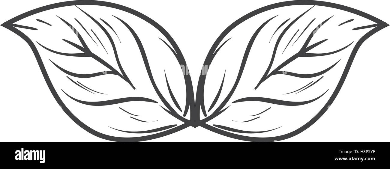 leaf plant nature decoration vector illustration design Stock Vector ...