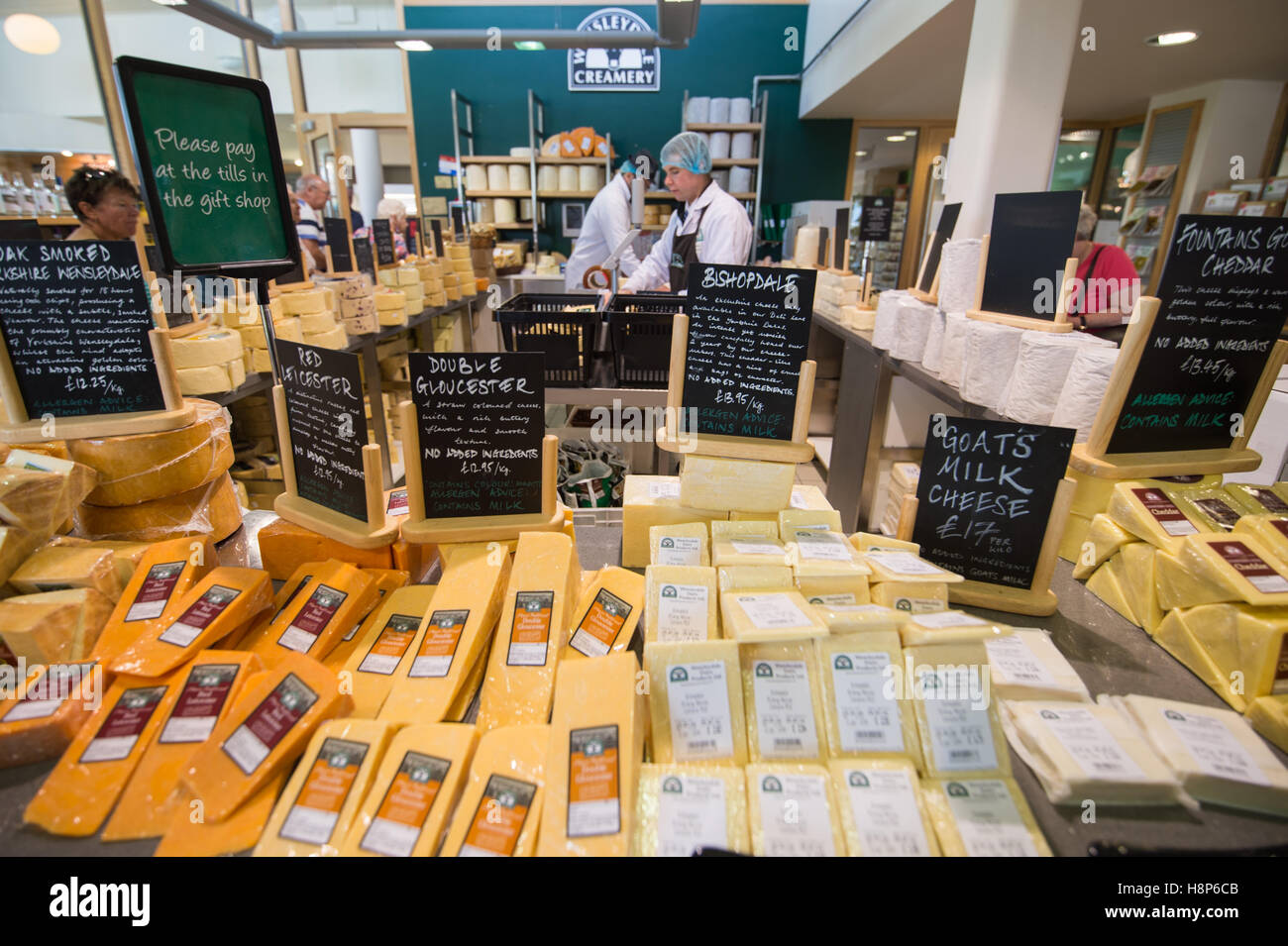 UK, England , Yorkshire Wensleydale cheese processing plant in Hawes