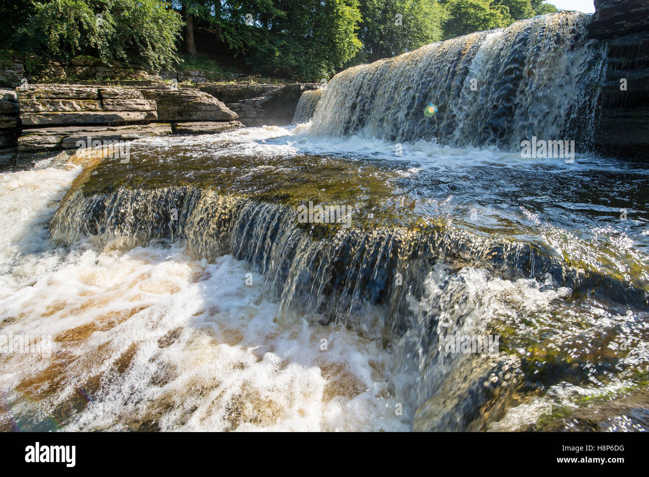 UK, England , Yorkshire - Aysgarth Falls on the  River Ure in Wensleydale Stock Photo