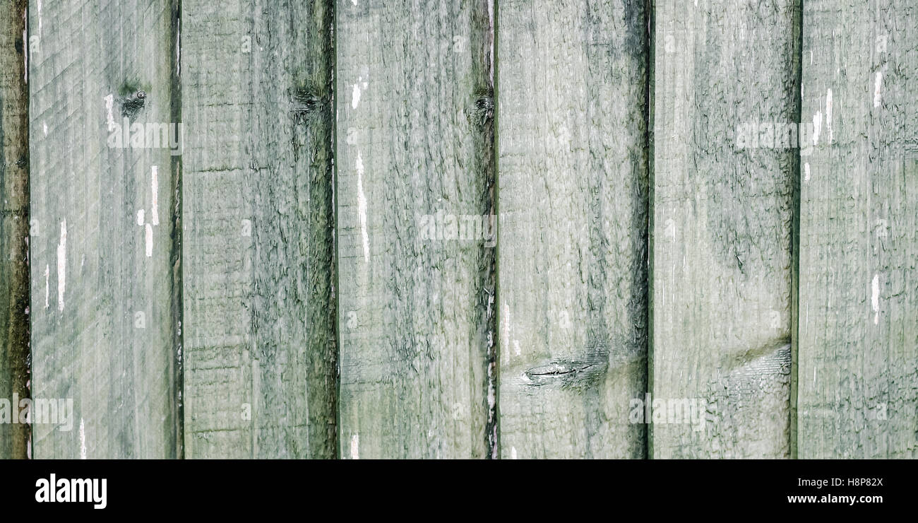 Wood panel wall texture grunge green panoramic hardwood background texture vintage unique material plank pine Stock Photo