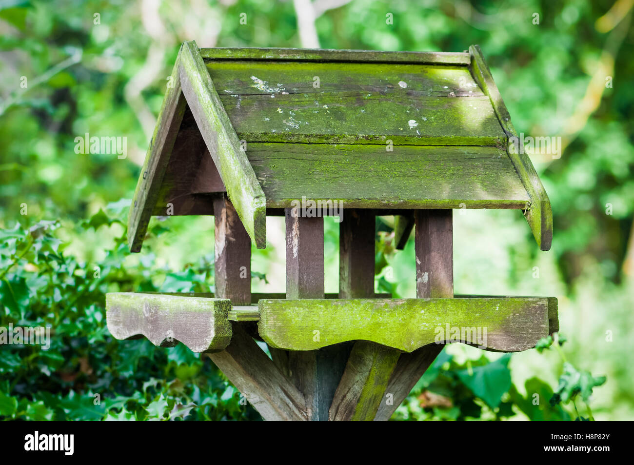 Bird Feeder House Shaped Garden Accessory Weathered Covered In